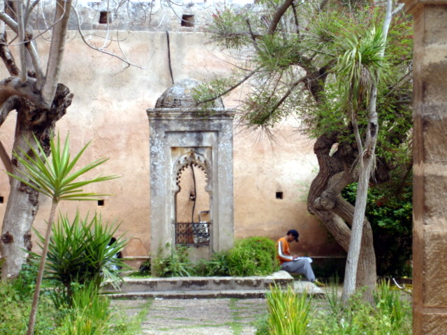 Garden