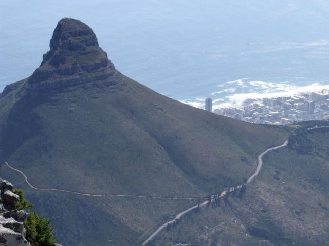 Lion's Head