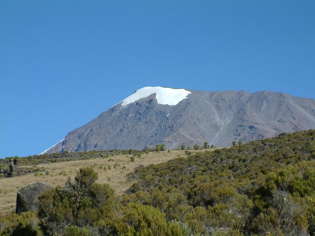 Kilimanjaro