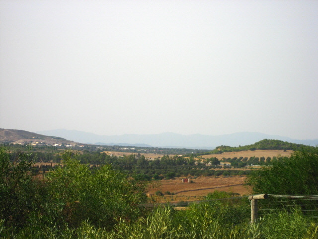 Landscape