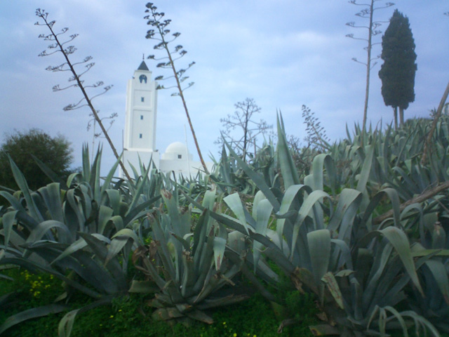 Sidi Bou Said