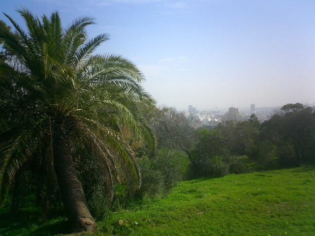 Tunis view