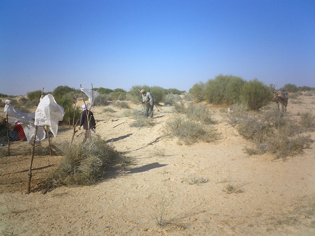 Gateway to Sahara