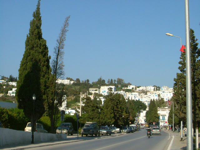 Street in Sidi Bou Said