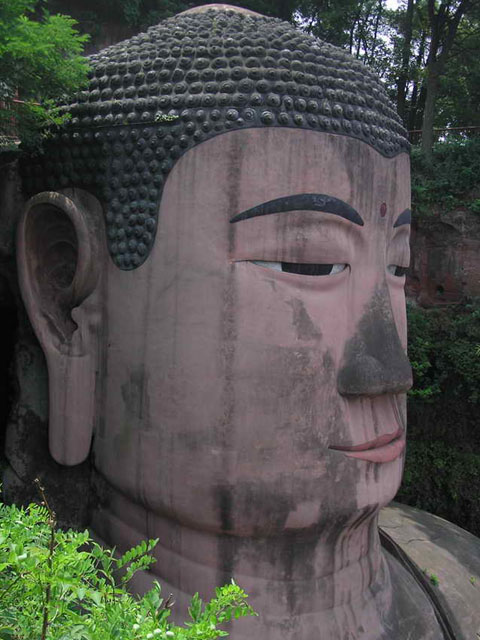 Head of the Buddha