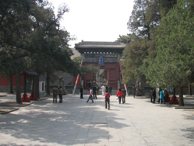 Summer Palace