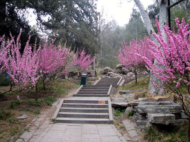 Jingshan Park