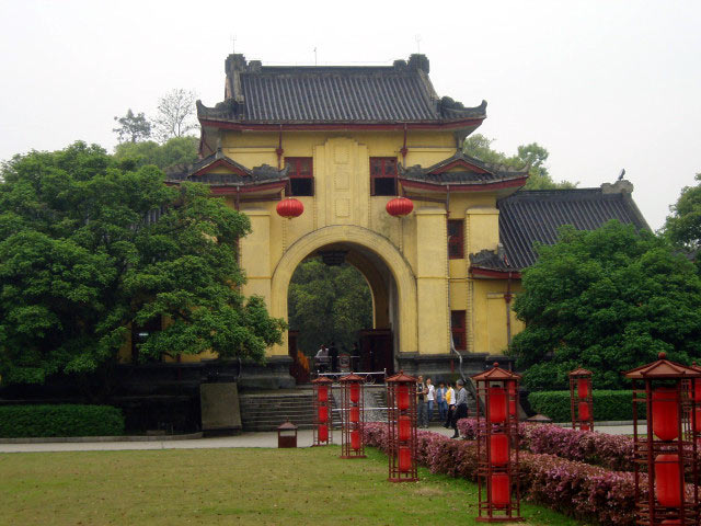 Solitary Beauty Peak garden