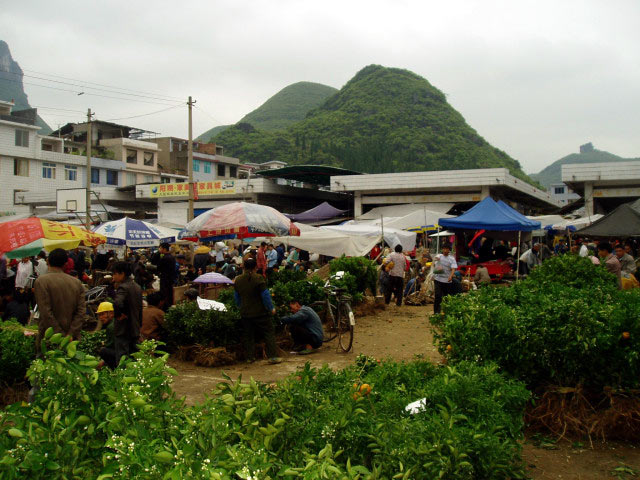 Fuli market