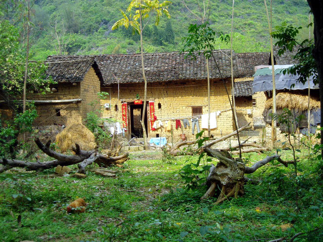 Traditional house