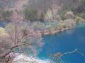 Lac Miroir, vallée de Jiuzhaigou