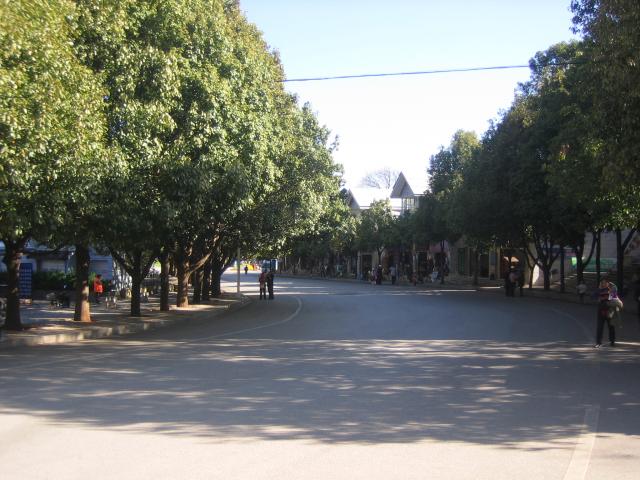 Stone Forest access