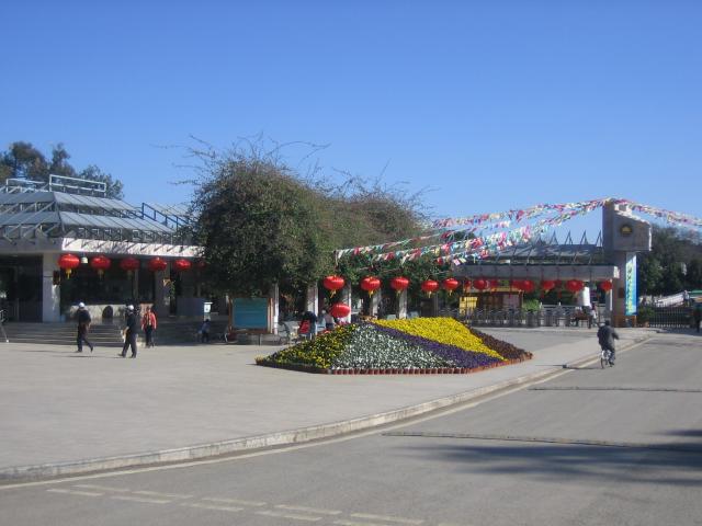 Stone Forest entrance