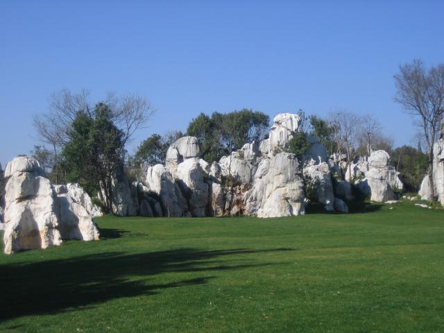 Lesser Stone Forest