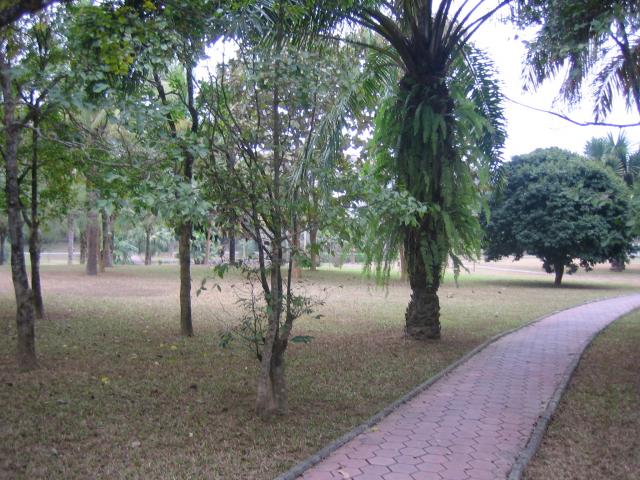 Jardin botanique medicinal