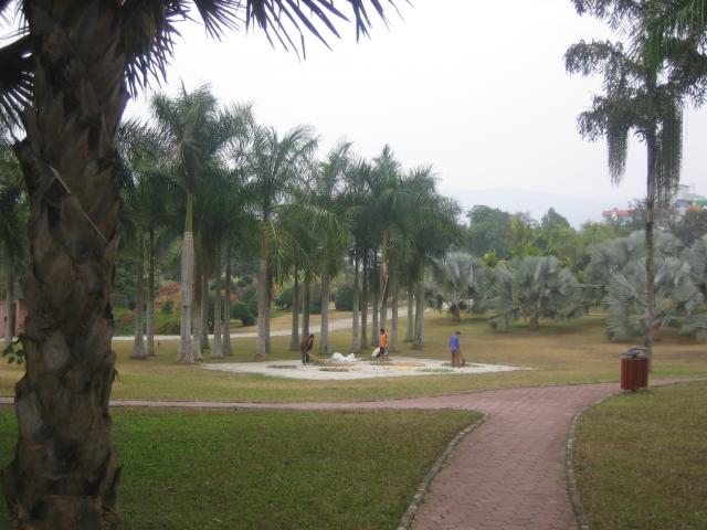 Jardin botanique medicinal