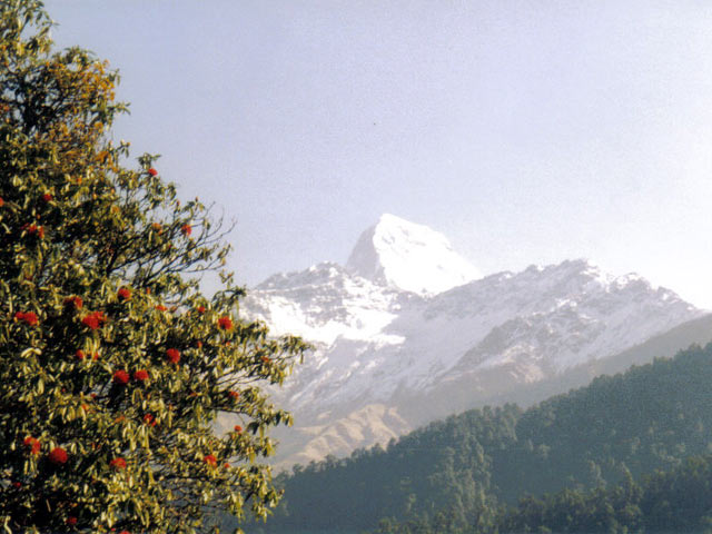 Ghorepani to Tatopani