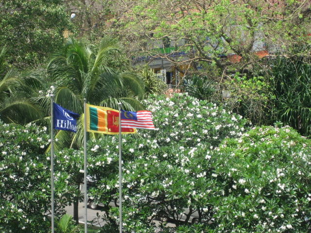 Flags