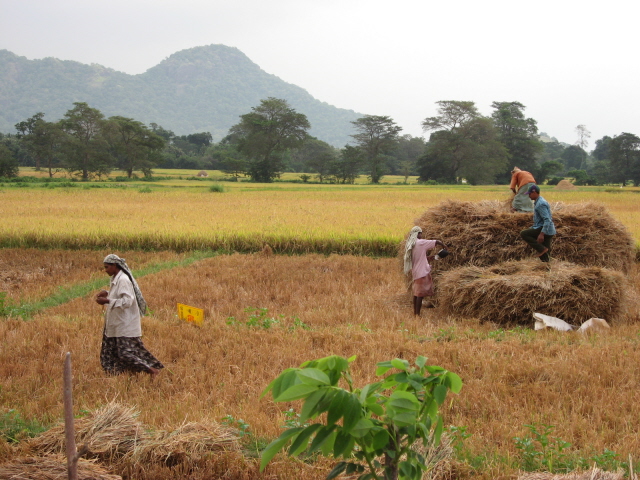 Farmers