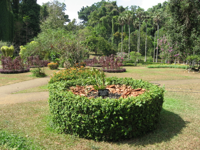 Peradeniya Botanical garden