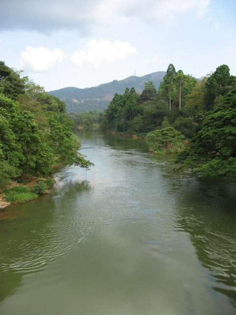 Mahaweli river
