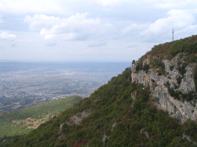 Panoramic view