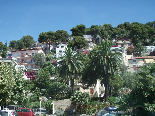 Andora