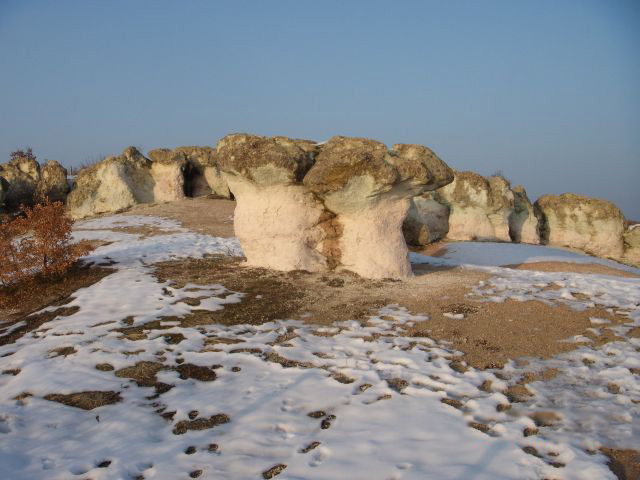 Stone Mushrooms