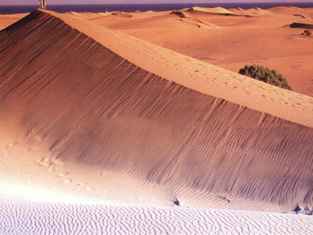 Maspalomas Dunes