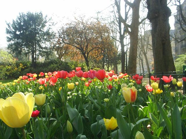 Champ de Mars