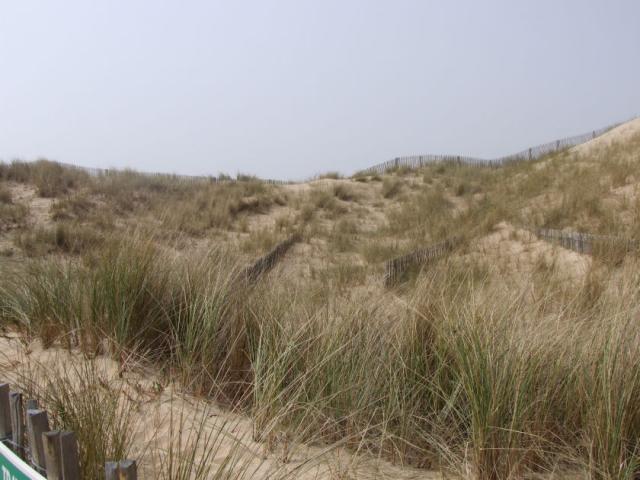 Dunes