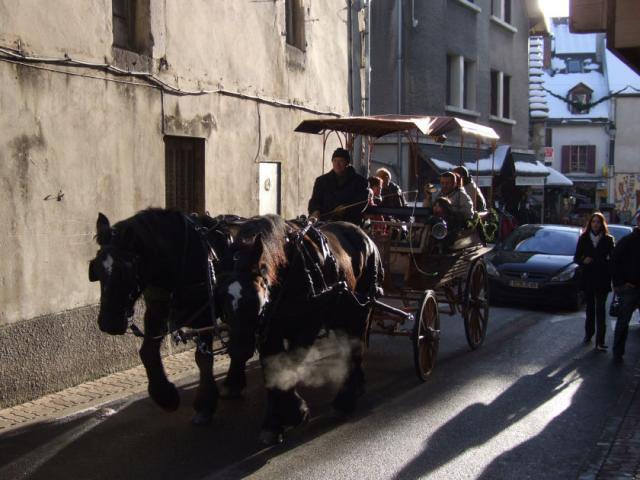 Chevaux