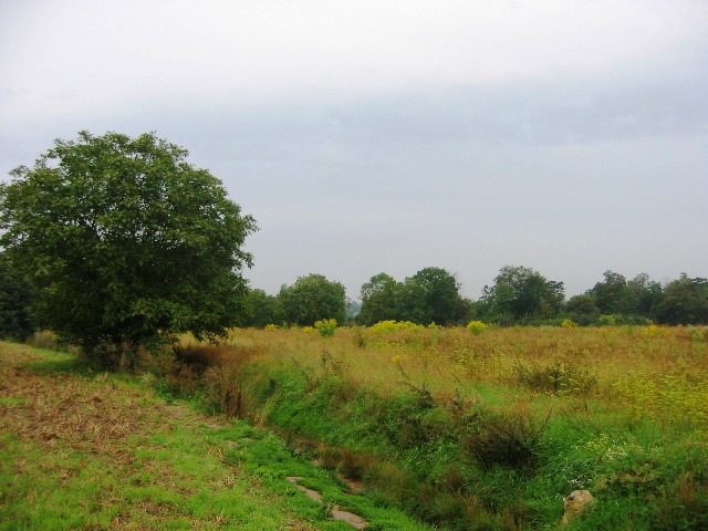 Auvers-sur-Oise