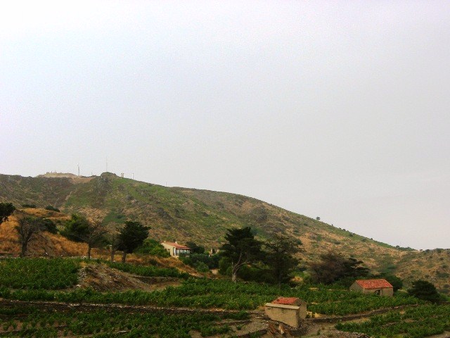 Around Collioure