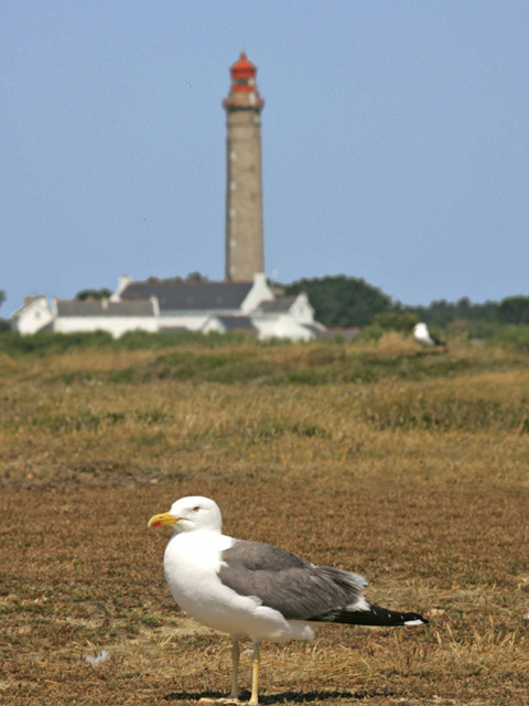 Phare de Goulphar