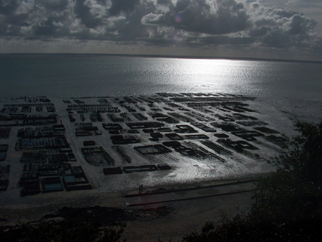 Cancale