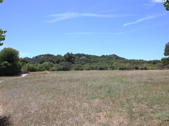 Alpilles view