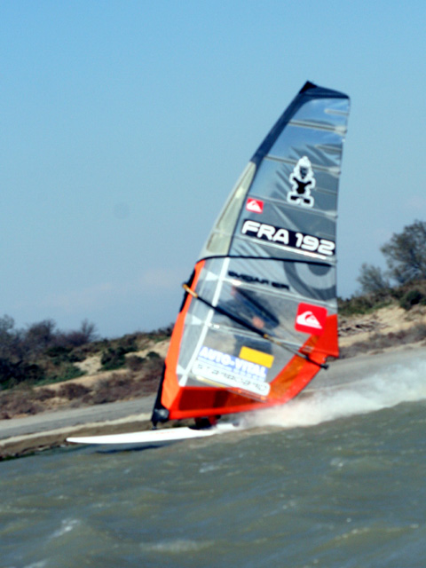 Windsurfer