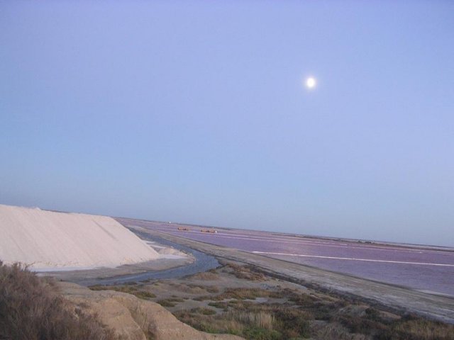 Les Salins de Giraud