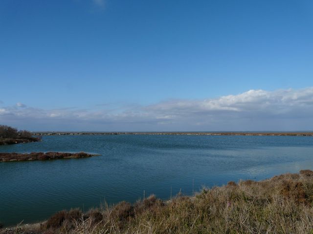 Etang de Vacares