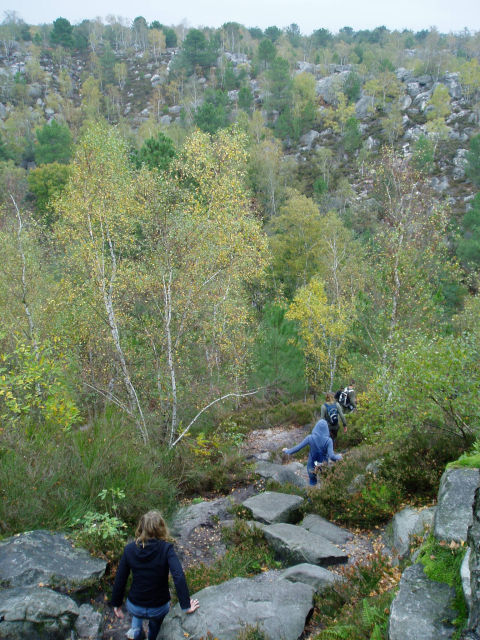 Forêt de Fontainebleau