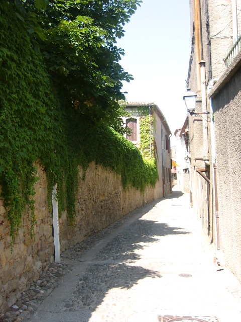 Ruelle