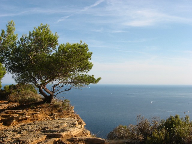 View from Port-Miou