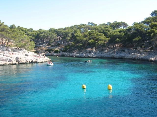 Calanque Port Pin