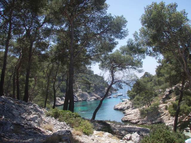 Calanque Port Pin