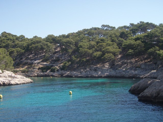 Calanque Port Pin