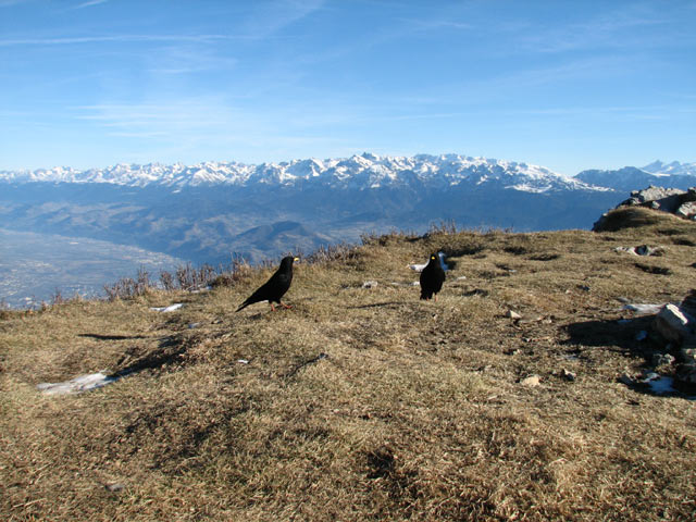 Chaîne de Belledonne