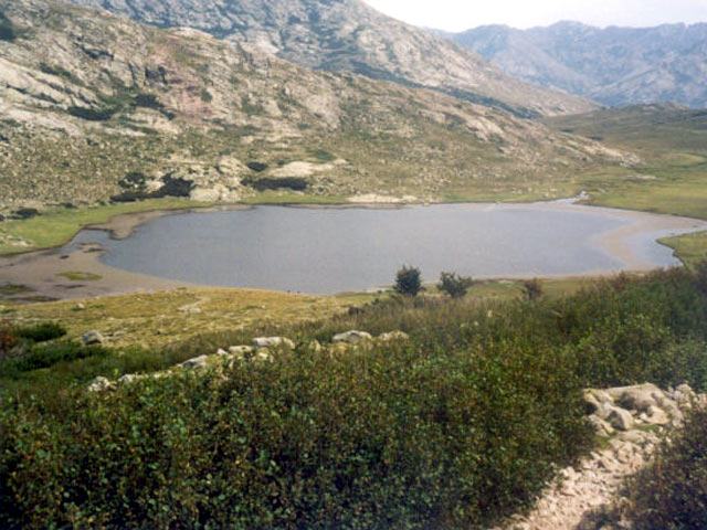 Lac Nino