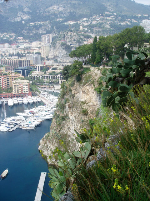 Jardin Exotique de Monaco