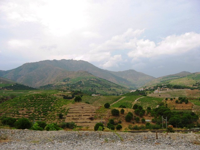 Pyrenees